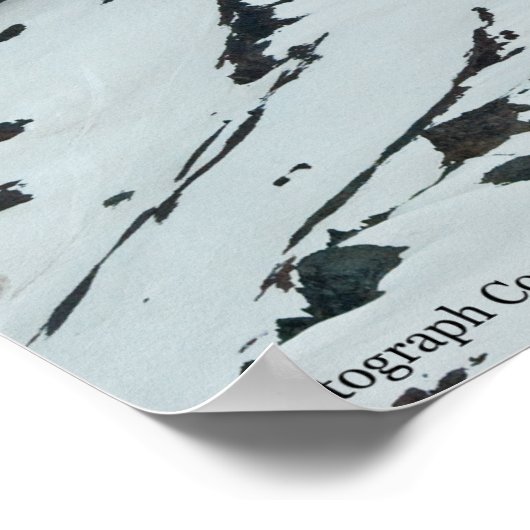 Rainier P7108 Poster (Ecke)