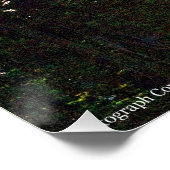 Rainier P7350 Poster (Ecke)