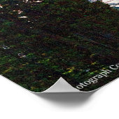 Rainier P7350 Poster (Ecke)