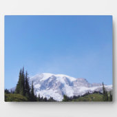 Rainier PDSC213 Fotoplatte (Vorderseite)