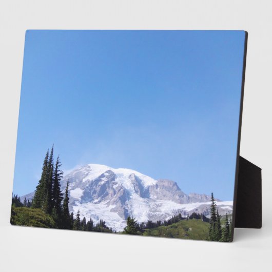 Rainier PDSC213 Fotoplatte (Seite)