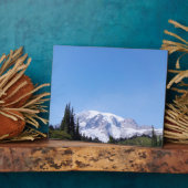 Rainier PDSC213 Fotoplatte (Seite)