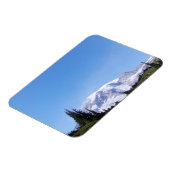 Rainier PDSC213 Magnet (Linke Seite)