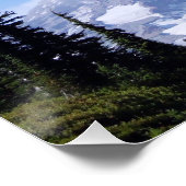 Rainier PDSC213 Poster (Ecke)