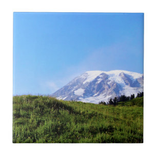 Rainier PDSC230 Fliese