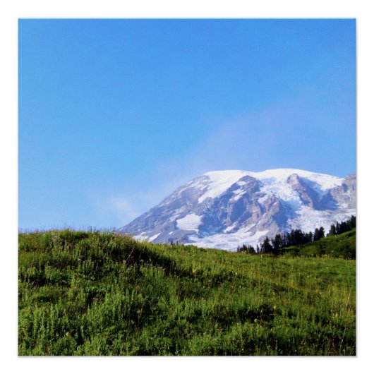 Rainier PDSC230 Poster (Vorderseite)