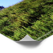 Rainier PDSC230 Poster (Ecke)