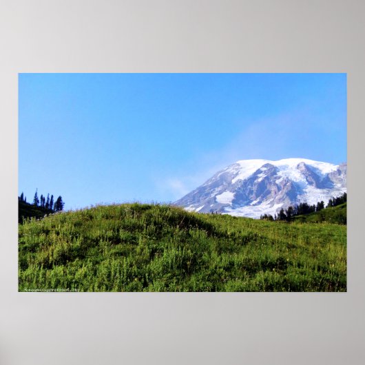Rainier PDSC230 Poster (Vorne)