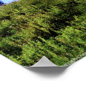 Rainier PDSC230 Poster (Ecke)