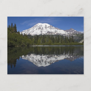 Rainier Postcard Postkarte