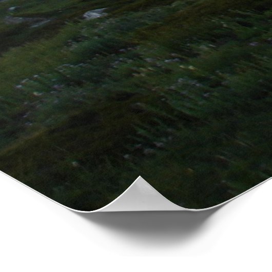 Rainier, Seattle Poster (Ecke)