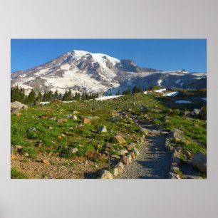 Rainier Skyline Trail Poster