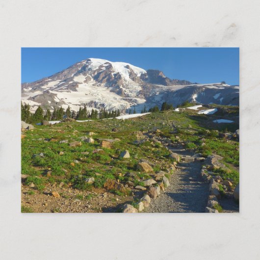 Rainier Skyline Trail Postkarte (Vorderseite)