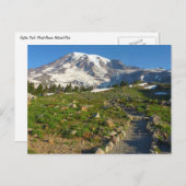 Rainier Skyline Trail Postkarte (Vorne/Hinten)