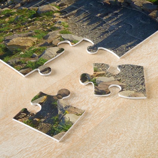 Rainier Skyline Trail Puzzle (Seite)