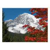 Rainier und Herbstleaven Fotodruck (Vorne)