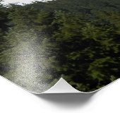 Rainier und Herbstleaven Fotodruck (Ecke)