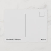 Rainier, Wa Postcard Postkarte (Rückseite)