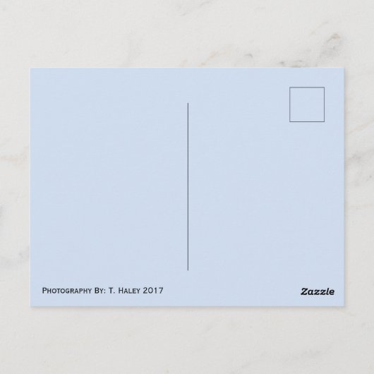 Rainier Washington Staat Postkarte (Rückseite)