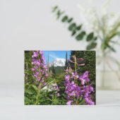 Rainier zwischen Lila Phlox-Blume Postkarte (Stehend Vorderseite)