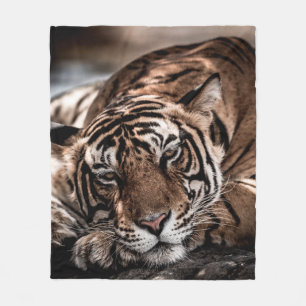Rainthambourde wilde männliche Tigerin Fine Art Bi Fleecedecke