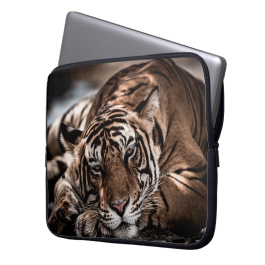 Rainthambourde wilde männliche Tigerin Fine Art Bi Laptopschutzhülle (Vorderseite Links)