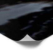 Rainthambourde wilde männliche Tigerin Fine Art Bi Poster (Ecke)