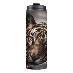 Rainthambourde wilde männliche Tigerin Fine Art Bi Thermosbecher