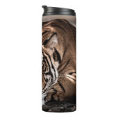 Rainthambourde wilde männliche Tigerin Fine Art Bi Thermosbecher (Nach rechts gedreht)
