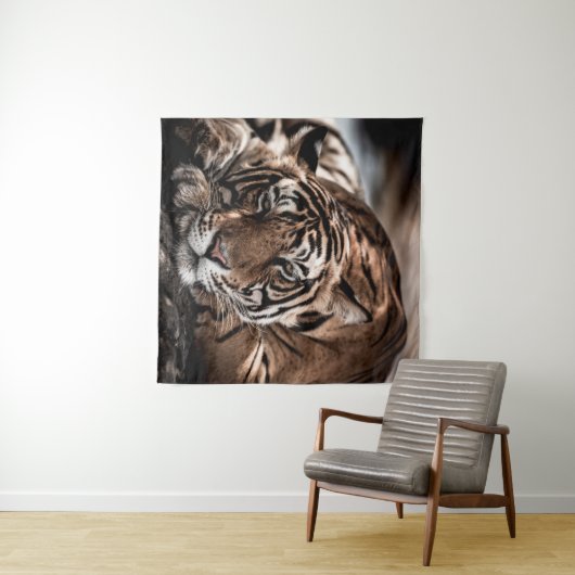 Rainthambourde wilde männliche Tigerin Fine Art Bi Wandteppich (Beispiel (Horizontal))