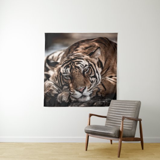 Rainthambourde wilde männliche Tigerin Fine Art Bi Wandteppich (Beispiel)