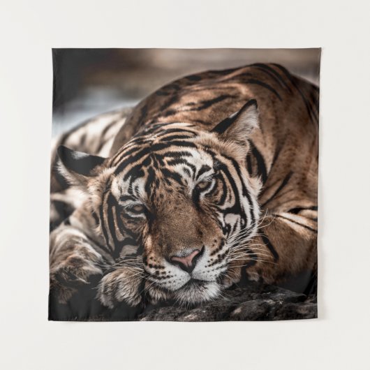 Rainthambourde wilde männliche Tigerin Fine Art Bi Wandteppich (Vorderseite)
