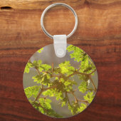 Raintree Branches Bonsai Foto Schlüsselanhänger (Vorderseite)