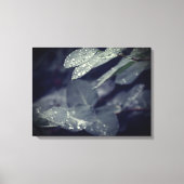 Rainy Blätter Leinwanddruck (Vorderseite)