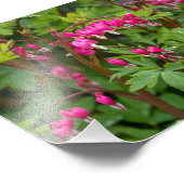 Rainy Day Blutungen Herz Fotodruck (Ecke)