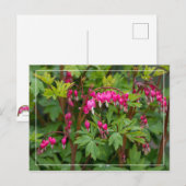 Rainy Day Blutungen Herz Postkarte (Vorne/Hinten)