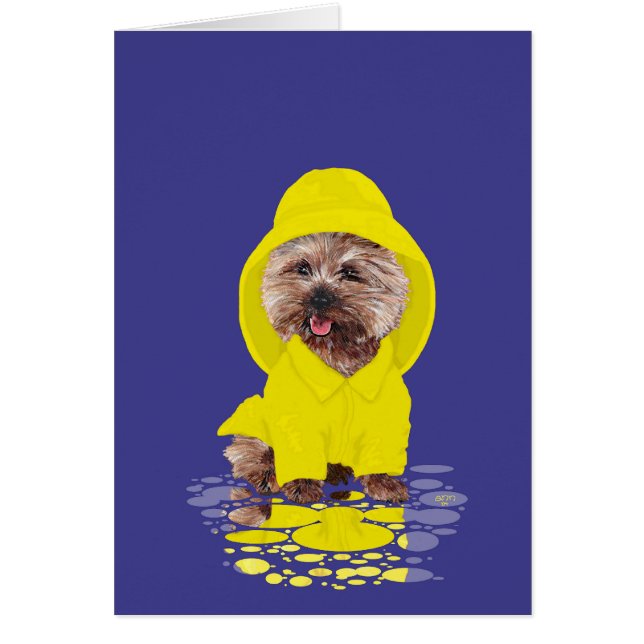 Rainy Day Cairn Terrier (Vorne)