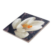 Rainy Day Crocus Blume Fliese (Seite)