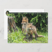 Rainy Day Friends Postkarte (Vorne/Hinten)