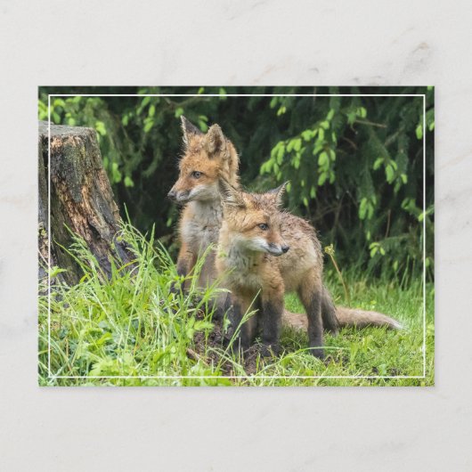 Rainy Day Friends Postkarte (Vorderseite)