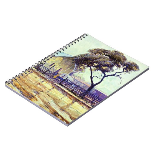 Rainy Day in Bandera von Julian Onderdonk Notizblock (Linke Seite)