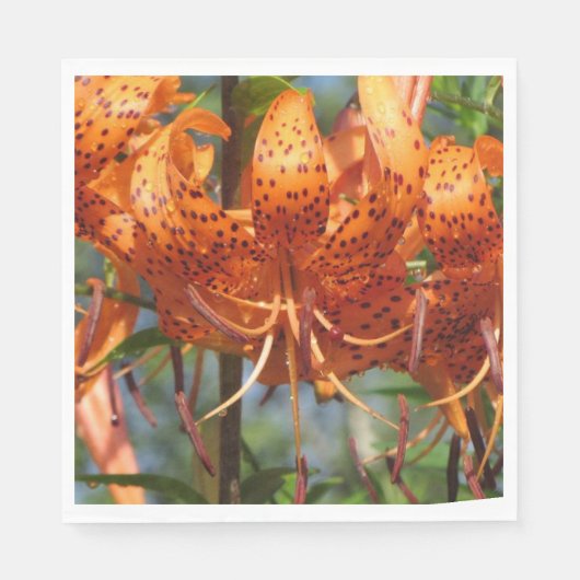 Rainy Day Tiger Lilies Serviette (Vorderseite)