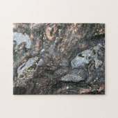 Rainy Day Tree Roots Water Nature Foto Puzzle (Horizontal)