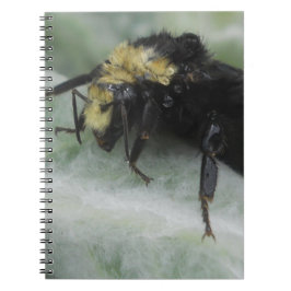 Rainy Days Notizblock