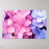 Rainy Days Poster (Vorne)