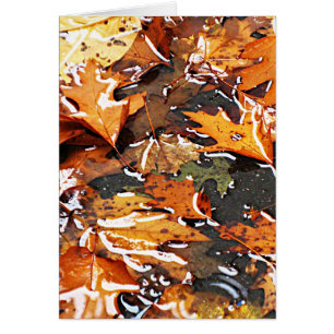 Rainy Herbstlaubs