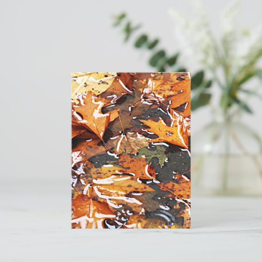 Rainy Herbstlaubs Postkarte (Stehend Vorderseite)