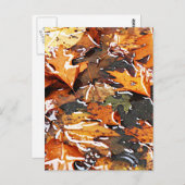 Rainy Herbstlaubs Postkarte (Vorne/Hinten)
