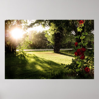 Rainy roses canvas poster