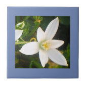Rainy Spring White Blühende Keramik Tile Fliese (Vorderseite)
